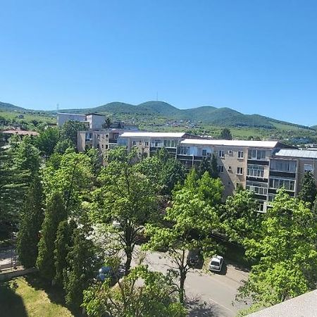 Apartament In Regim Hotelier Deva Esterno foto