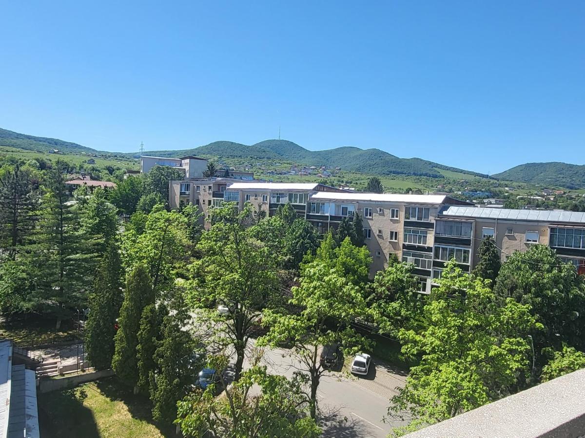 Apartament In Regim Hotelier Deva Esterno foto